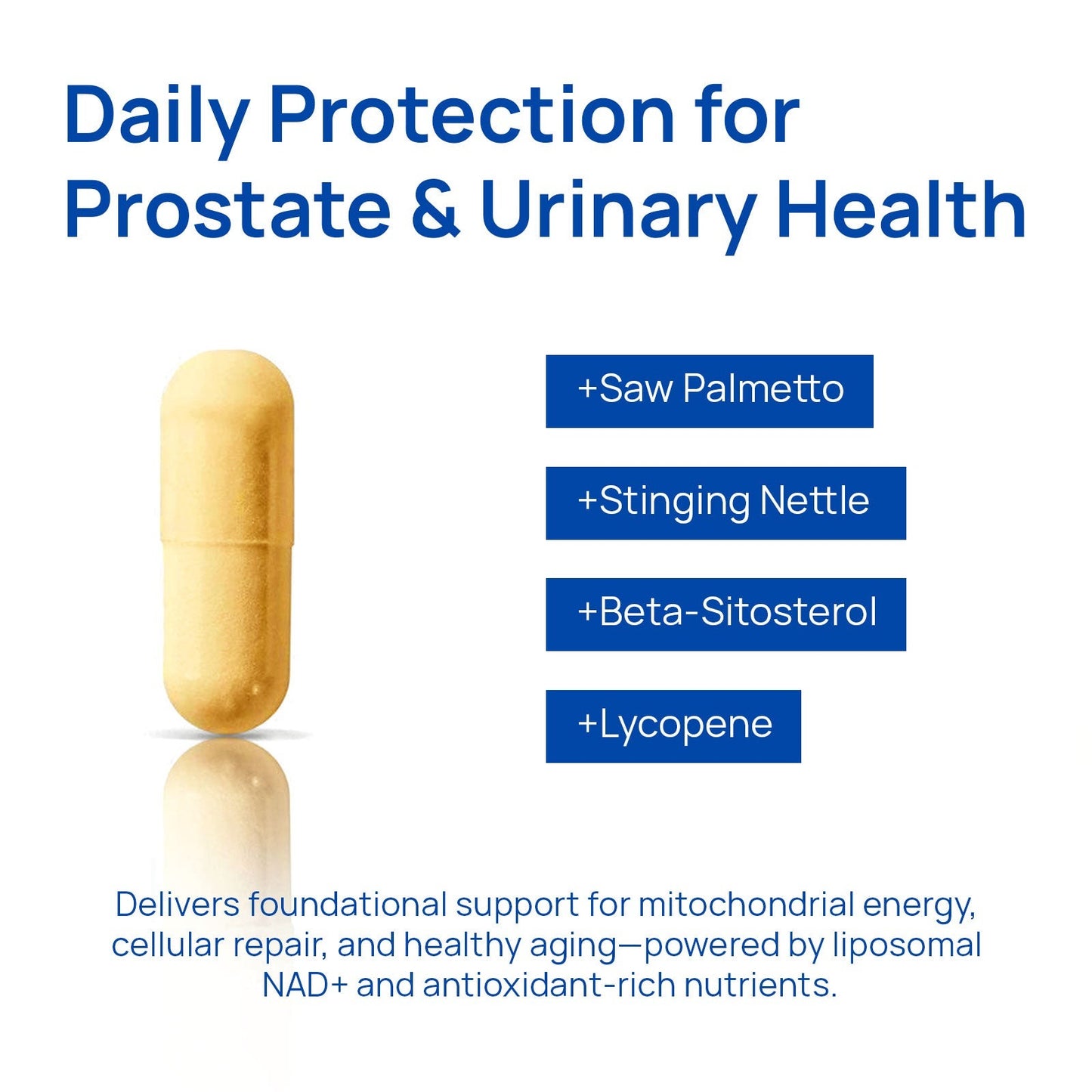 Lumara® NAD+ Supplement for Men